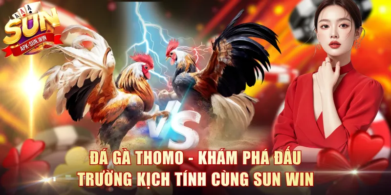 Đá Gà Thomo
