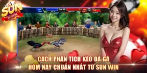 Kèo Đá Gà Hôm Nay
