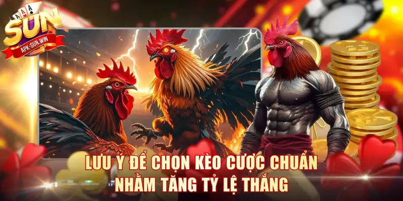 Lưu ý để chọn kèo cược chuẩn nhằm tăng tỷ lệ thắng 