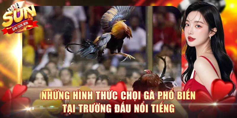 Những hình thức chọi gà phổ biến tại trường đấu nổi tiếng