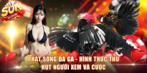Phát Sóng Đá Gà
